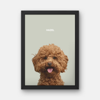Custom Pet Portrait