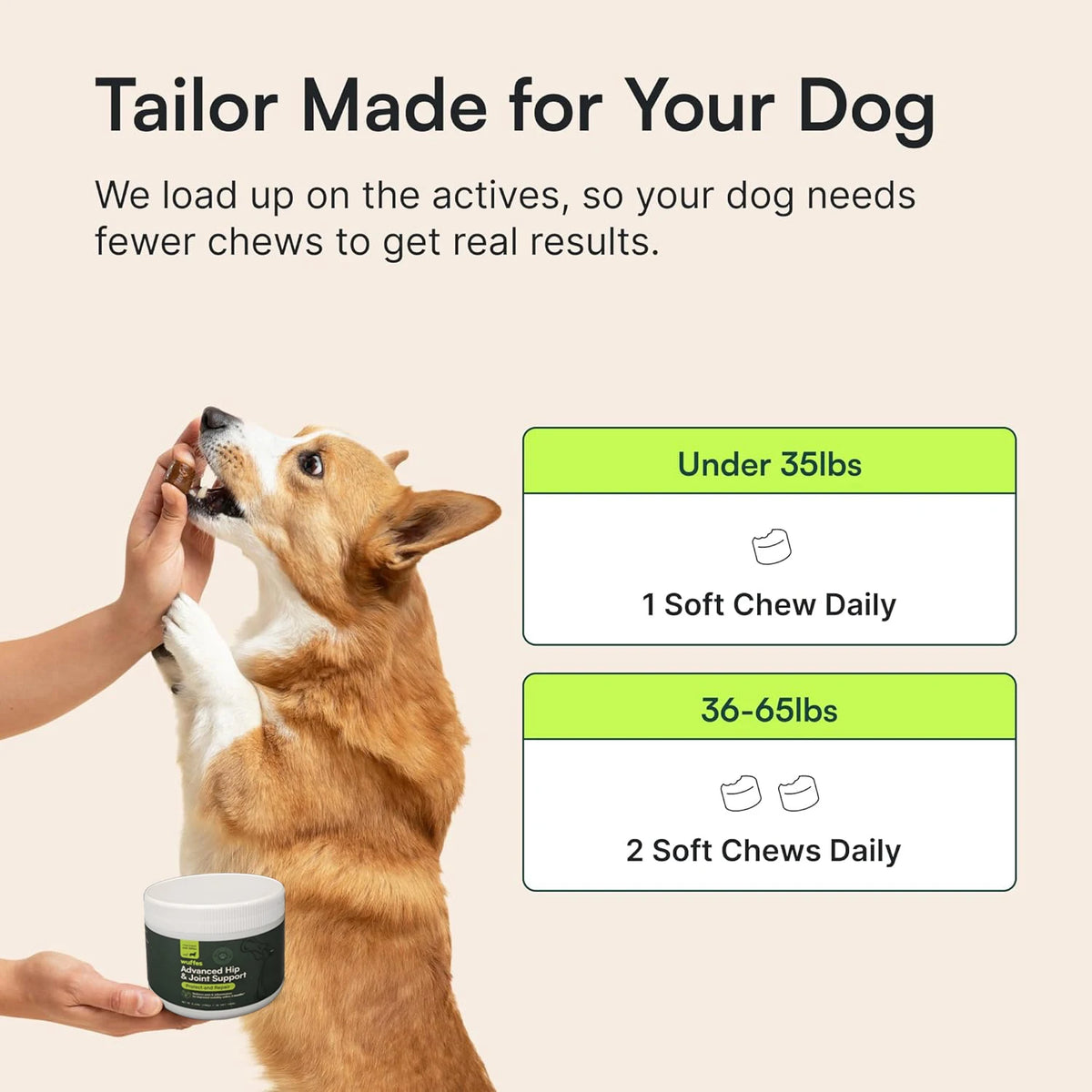 Advanced Hip & Joint Soft Chews for Dogs (60 ct)
