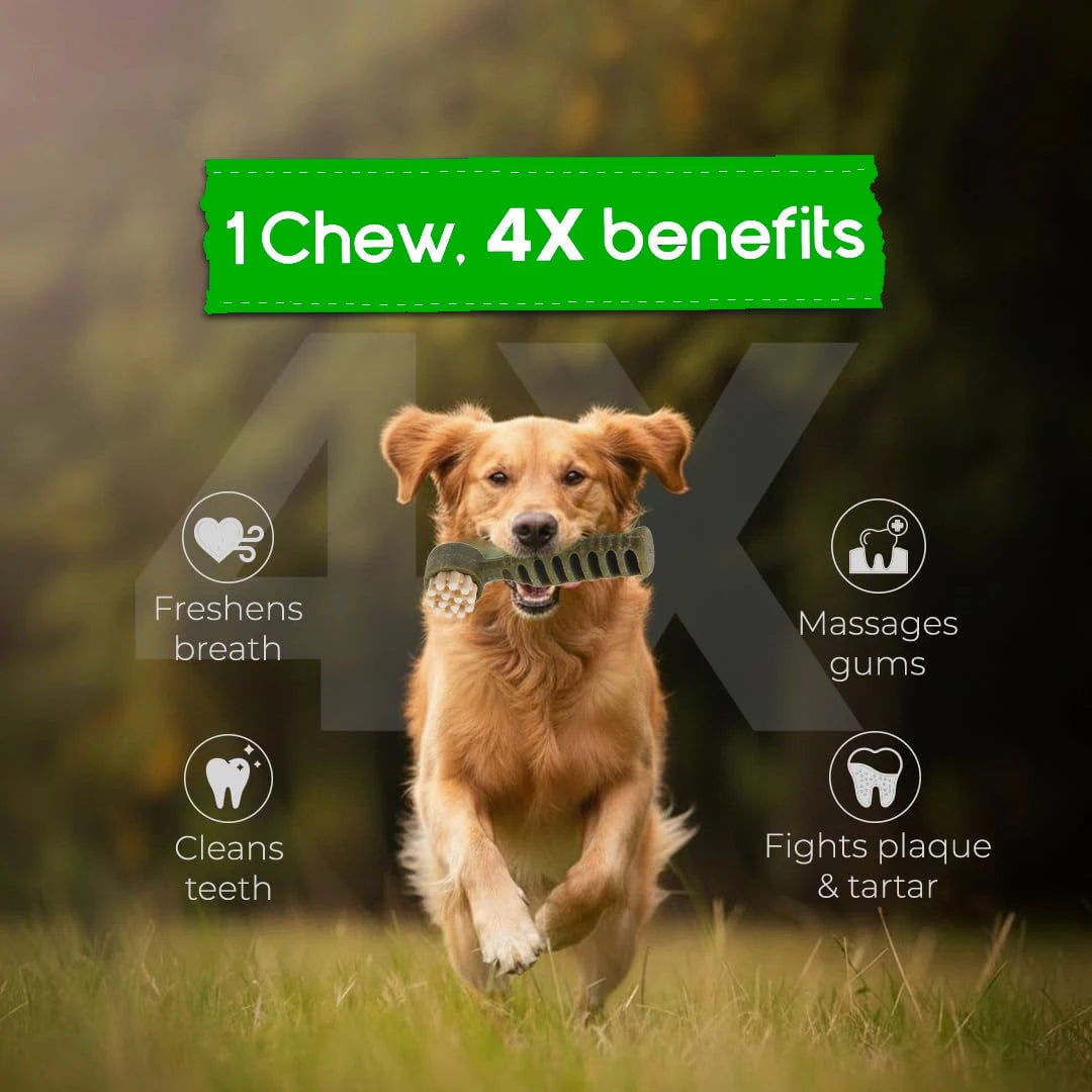 Brush-Shaped Dental Chews for Dogs, Mint