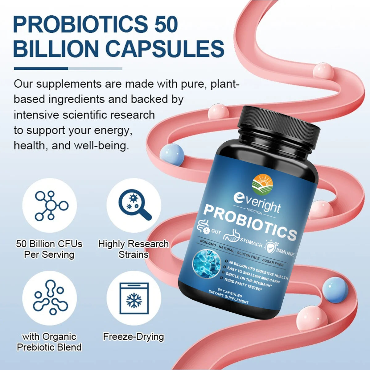 everight Probiotics 50 Billion CFU Capsules