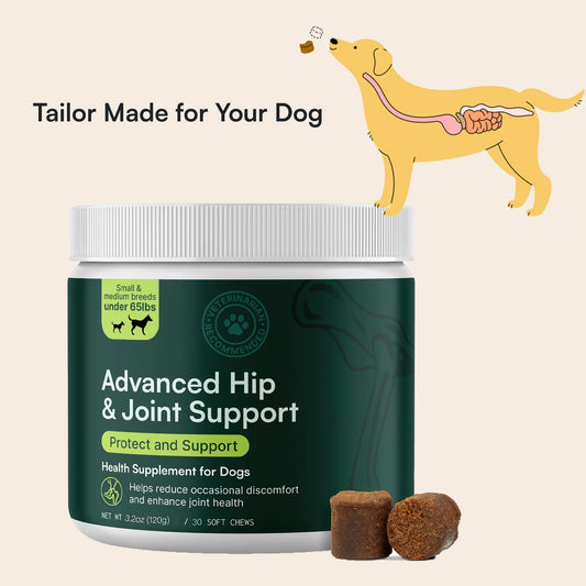 Advanced Hip & Joint Soft Chews for Dogs (60 ct)