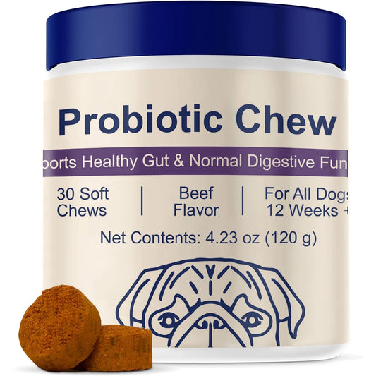 Probiotic Soft Chews for Dogs, Beef Flavor (30 ct)